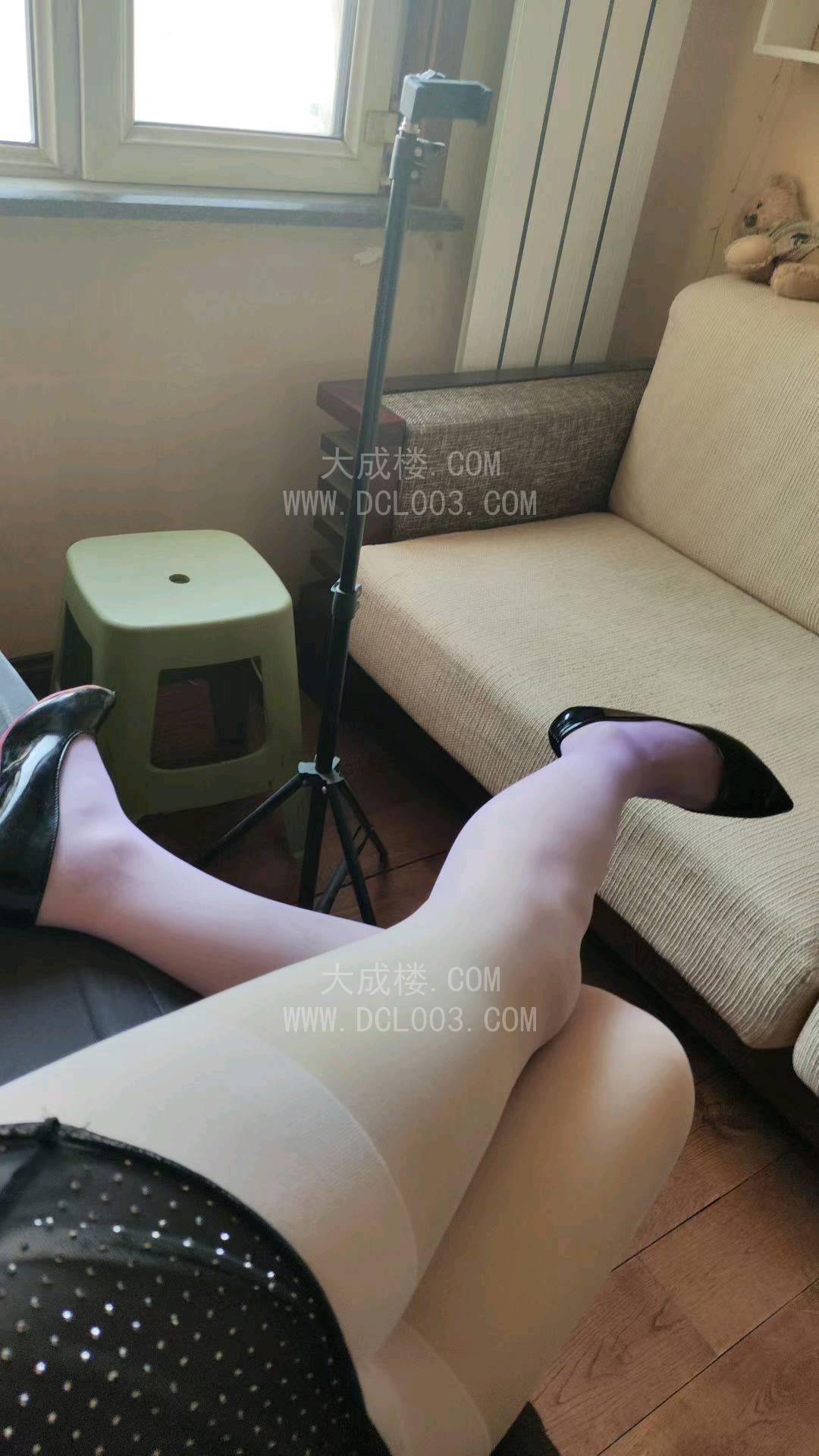 哈尔滨TS常推推