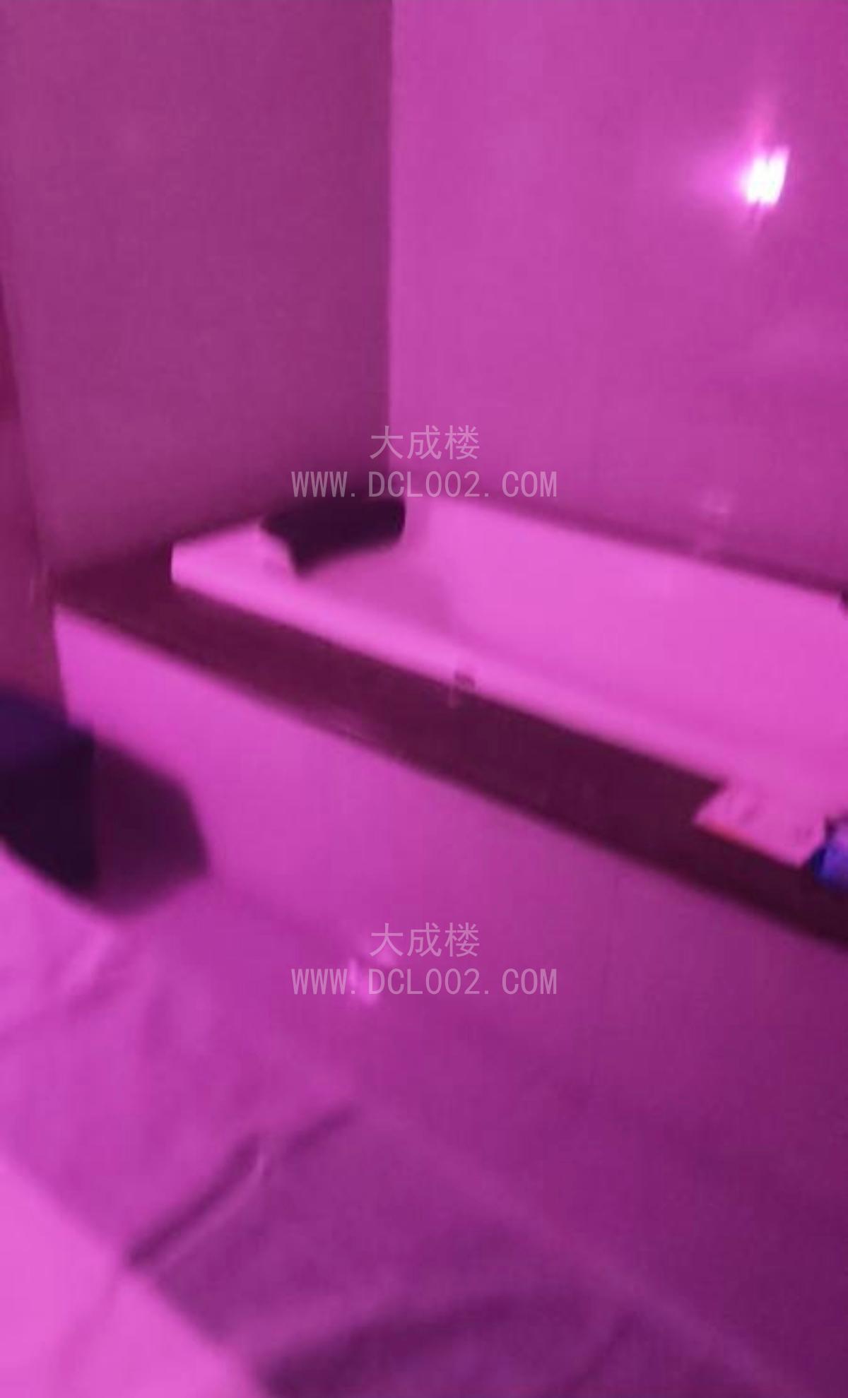 淮安08白虎妹爽