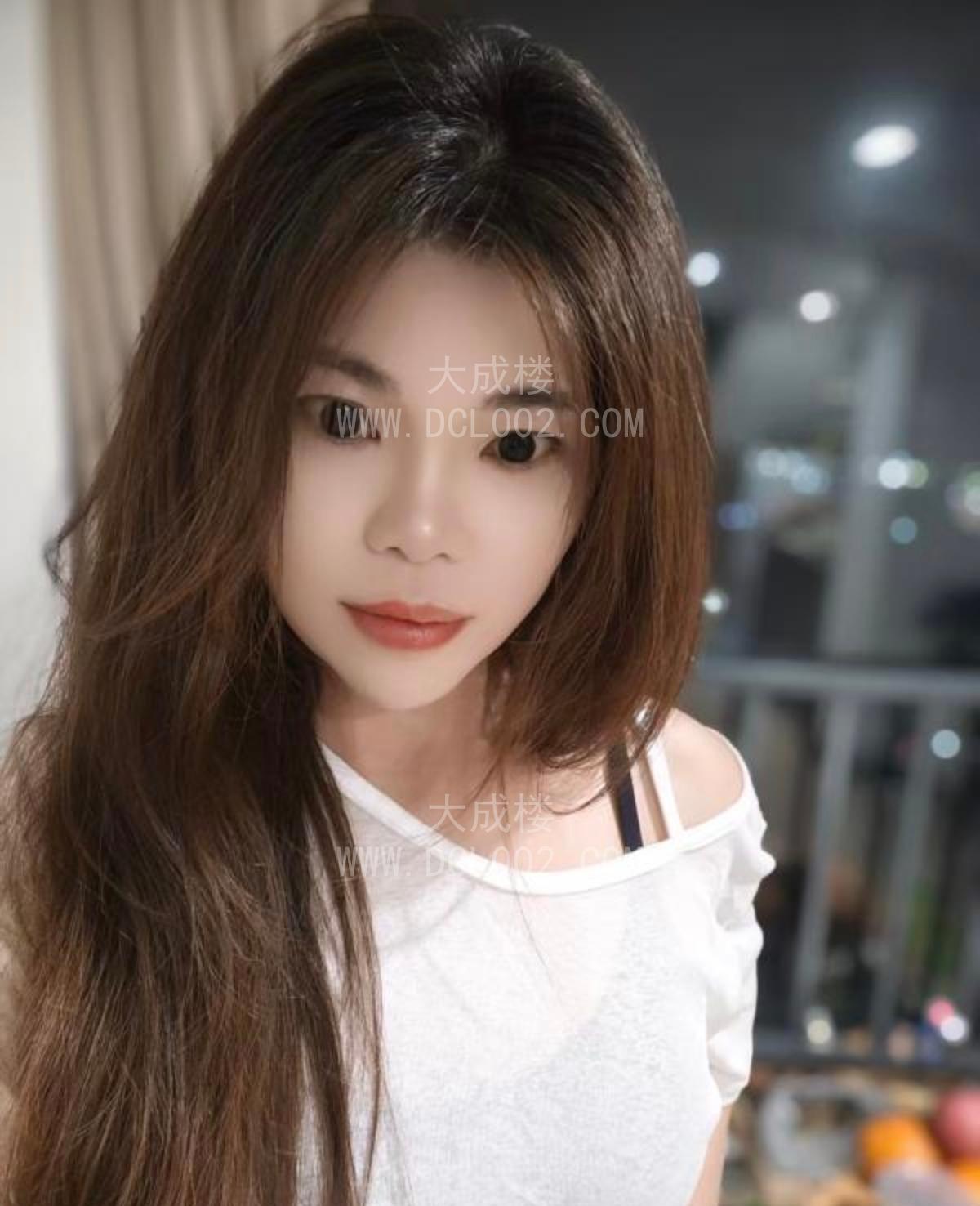 佛山顺德小野猫